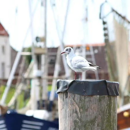 Διαμέρισμα Kapitaens - Koje In Greetsiel Krummhörn